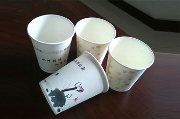 1683254936251659.jpg 纸杯05.jpg