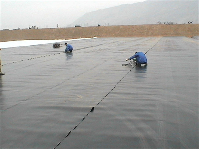 1-1PZ51F5493H.jpg