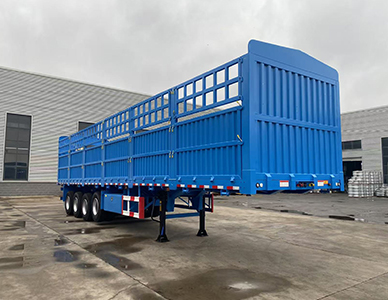 1773646541631331.jpg 1.jpg