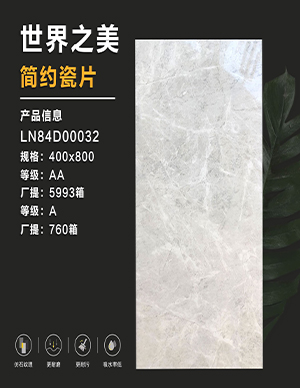 瓷片-400x800mm.jpg