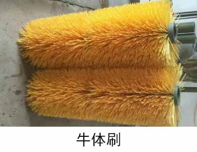 牛体刷3.jpg